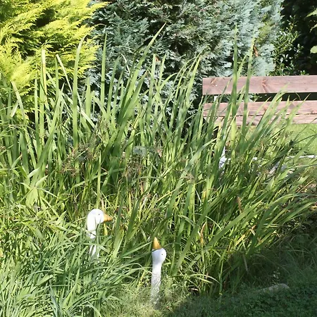 Kleine Hexe بيت للعطل *