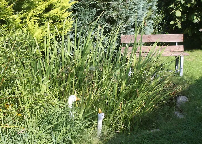 Kleine Hexe 度假居 *